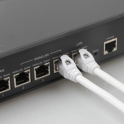 OEM Cat 6a Ethernet Lan Cables Copper 7/0.2 PVC/LSZH Jacket with RJ45 Connector